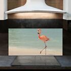 Spritzschutz Kchenrckwand auf ESG Glas 120x60 Flamingo am tropischen Strand