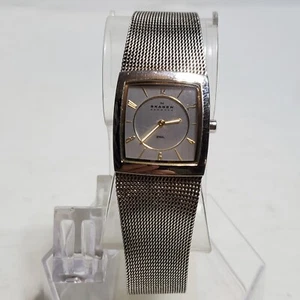 Skagen DENMARK 563XSGSC SILVER TONE STEEL Quartz Watch NEW BATTERY - Picture 1 of 10