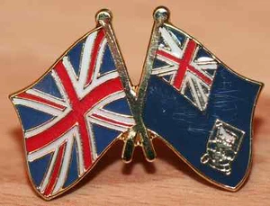 UK & FALKLAND ISLANDS FRIENDSHIP Bandera Solapa de Metal Insignia Gran Bretaña - Imagen 1 de 1
