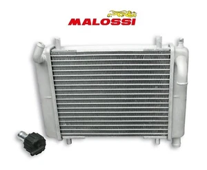 RADIATORE NUDO MHR PIAGGIO ZIP SP 50 2T LC TUTTI GLI ANNI MALOSSI 7115500 - Foto 1 di 5