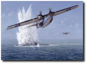 CATS HAVE GARRAS de Don Feight - Consolidada PBY Catalina - Estampado Artístico de Aviación - Imagen 1 de 1
