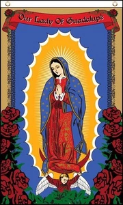 Flagge "OUR LADY OF GUADALUPE ROSE" 3x5 Fuß Polyester Banner Schild religiös blau - Bild 1 von 8