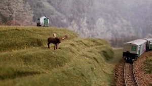 N Maßstab Bullenelch v2, KEINE BASIS 1:160 Maßstab Modellzug Eisenbahn lackiert - Bild 1 von 2