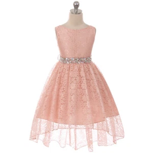 Rouge Größe 4 Blumenmädchen Kleid Hochzeit Geburtstag Konzert Abschluss Brautjungfer - Bild 1 von 2