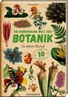 Die wunderbare Welt der Botanik | Eine illustrierte Naturkunde | Carmen Soria