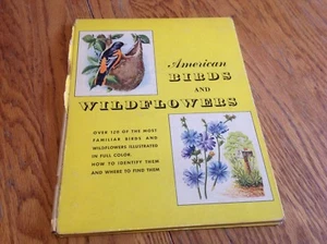 1950 - American Birds & Wildflowers by Herbert Zim - Foto 1 di 7
