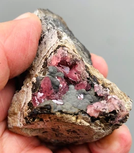 RHODOCHROSIT ROTE KRISTALLE auf SCHWARZEN MANGANMATRIX aus PERU...UCHUCHAQUA MINE - Bild 1 von 12