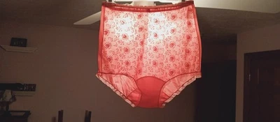 VANITY FAIR VINTAGE NYLON PANTY sz 6 ROSE RED SHEER EMB FRONT P TAB EMB #VF1A03 - Image 1 of 4