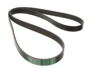 Mitsuboshi Multi Rib Belt fits Honda Civic 2016-2022 84PBTH - Picture 1 of 1