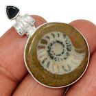 Natural Fossil Moroccan Goniatite Ammonite 925 Silver Pendant Jewelry CP45914