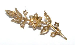 Ladies/womens 15ct yellow gold antique flower stem brooch set with seed pearls - Picture 1 of 7