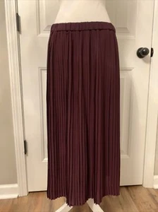 New Eileen Fisher $258 C/L KNIFE PLEATED SKIRT FBKNP-S8804M Sz 10 In RASNT - Picture 1 of 9
