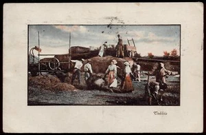 cartolina costumi siciliani TREBBIA NEI CAMPI - Picture 1 of 1