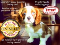 ovulation pads for dogs
