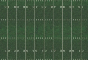 Medium Football Field for Collectible Villages -Unique Feature for Dept 56 Lemax - Picture 1 of 5