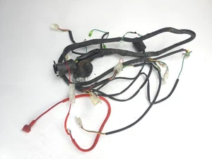Yiying YY50QT-15 D 50cc 2011-2016 Wiring Harness - Foto 1 di 12
