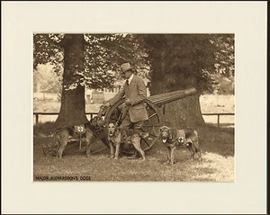 BLOODHOUND AND AIREDALE TERRIER RED CROSS WAR DOGS PRINT MOUNTED READY TO FRAME - Picture 1 of 1