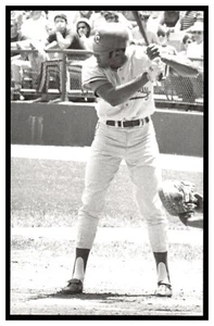 Pat Kelly Kansas City Royals Vintage Baseball Postcard PCKR-01 - Picture 1 of 2