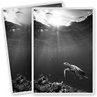 2 x Vinyl Stickers 7x10cm - BW - Underwater Turtle Ocean Dive Diver  #40893