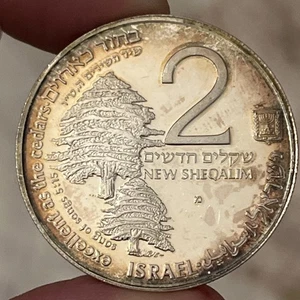 Israel Münze Taube und Zeder 28,8g Silber PP 2 Neu in OVP - Bild 1 von 2