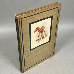 Das rote Pony von John Steinbeck ~ Erstvordruckausgabe 1945 - Wikingerpresse - Bild 1 von 18