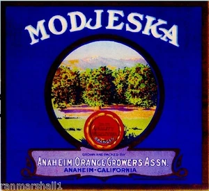 Anaheim Orange County Modjeska Orange Zitrus Obstkiste Etikett Kunstdruck - Bild 1 von 1