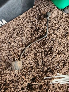 Genuine Yamaha Pw80 Pw 80 Coil - Picture 1 of 1