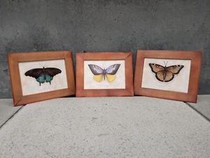 Vintage (Set of 3) Signed Janet Oxford Couch "Butterflies" Penny Lane - Picture 1 of 12