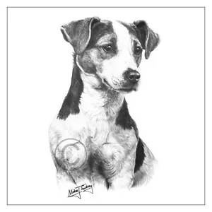Biglietto di auguri Jack Russell Terrier esposizione cani razza Mike Sibley buon compleanno - Foto 1 di 3