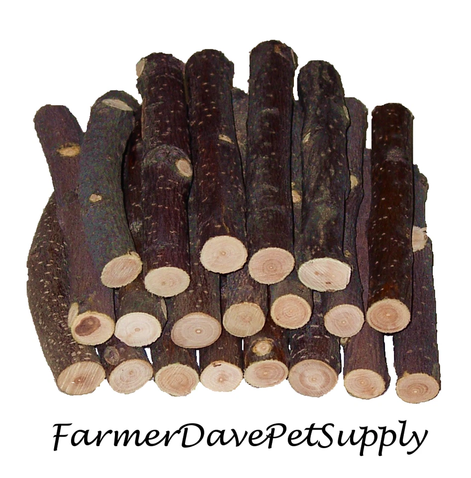 FARMERDAVEPETSUPPLY 20 Premium APPLE BRANCH CHEWS Rabbits & Bunnies