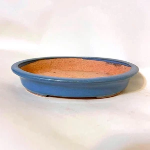 Japanese Tokoname Bonsai  Pot / made by Hattori 16.5cm (6.5") light blue oval - Picture 1 of 4