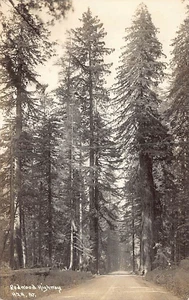 Postcard CA: RPPC Redwood Highway, California 1920's Unposted - Picture 1 of 2