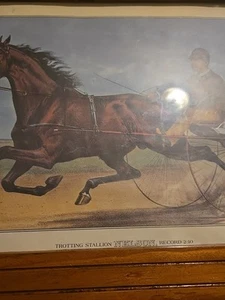 Sunday in the olden time Trotting stallion nelson double picture - Picture 1 of 3