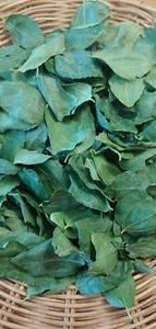 Foglie di giuggiola bio essiccate 2 oz - Foto 1 di 5