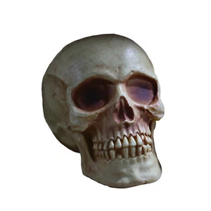 Fun World Scary Halloween Skull with Jaw 8" Plastic Table Decoration, White B... - Picture 1 of 2