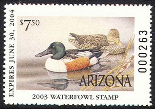 AZ17 ARIZONA 2003 STATE STAMP NORTHERN SHOVELER  by Sherrie Russell Meline - Image 1 of 1