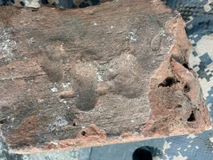 Menschliche Fingerabdrücke in historischem handgefertigtem Tonziegel über 130 Jahre alt - Bild 1 von 9