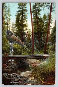 Der Rückzugsort urige Holzbrücke Wald Wälder Bäume alte Postkarte 1910er M. Rieder - Bild 1 von 3
