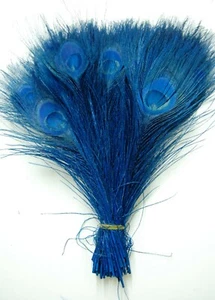 25 piezas COLAS DE PAVO REAL BLANQUEADAS - PLUMAS TURQUESAS 10-12" Novia/Halloween/Sombreros - Imagen 1 de 3
