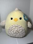 Squishmallows ~ Aimee the Chick ~ Easter Hard to Find ! Plush 14” Inches NWT!
