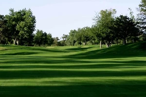 (En pedido pendiente) SEMILLA DE HIERBA BERMUDA MONACO (RIVIERA) 1 LB 1000 pies cuadrados - Imagen 1 de 1