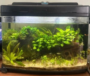 Interpet 64l Fishpod Aquarium Fish Tank - Picture 1 of 3