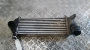 ECHANGEUR THERMIQUE Renault Kangoo Express (FW) 2014 144963234R - Imagen 1 de 2
