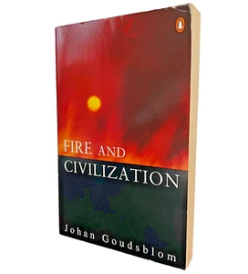 Fire and Civilization Johan Goudsblom 1st PB UK Import History Nonfiction Book - Picture 1 of 11