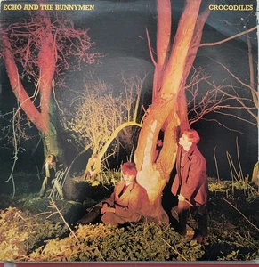ECHO AND THE BUNNYMEN Vinyl LP  "Crocodiles" Rare SIRE label SRK 6096 Ships Free - Picture 1 of 4