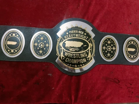 AWA SOUTHERN HEAVYWEIGHT DUAL PLATTED WRESTLING CHAMPIONSHIP BELT 2mm ZINC Cover