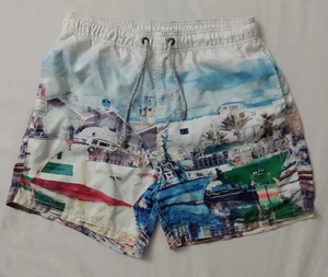 MENS ISLANDHAZE SWIM TRUNKS SIZE LARGE - Picture 1 of 3