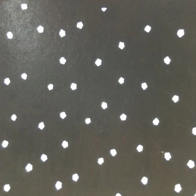 Plantilla Kimono Katagami Japonesa Antigua Katazoma Meiji Diseño Floral Punto 4Y401 Foto 1 de 2