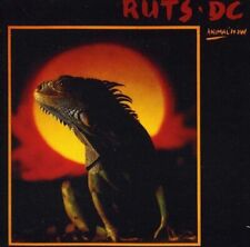 RUTS - Animal Now - CD - Import - **Excellent Condition**
