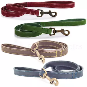 More details for ancol timberwolf dog lead strong leather brown blue 60cm or 100cm x 19mm